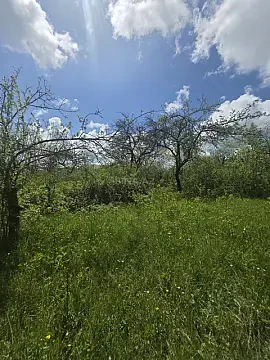 Satılır torpaq sahəsi 19 m² — Şamaxı 19.00 m²