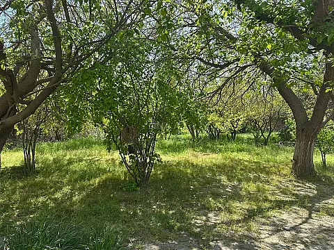 Satılır torpaq sahəsi 30 m² — Bakı 30.00 m²