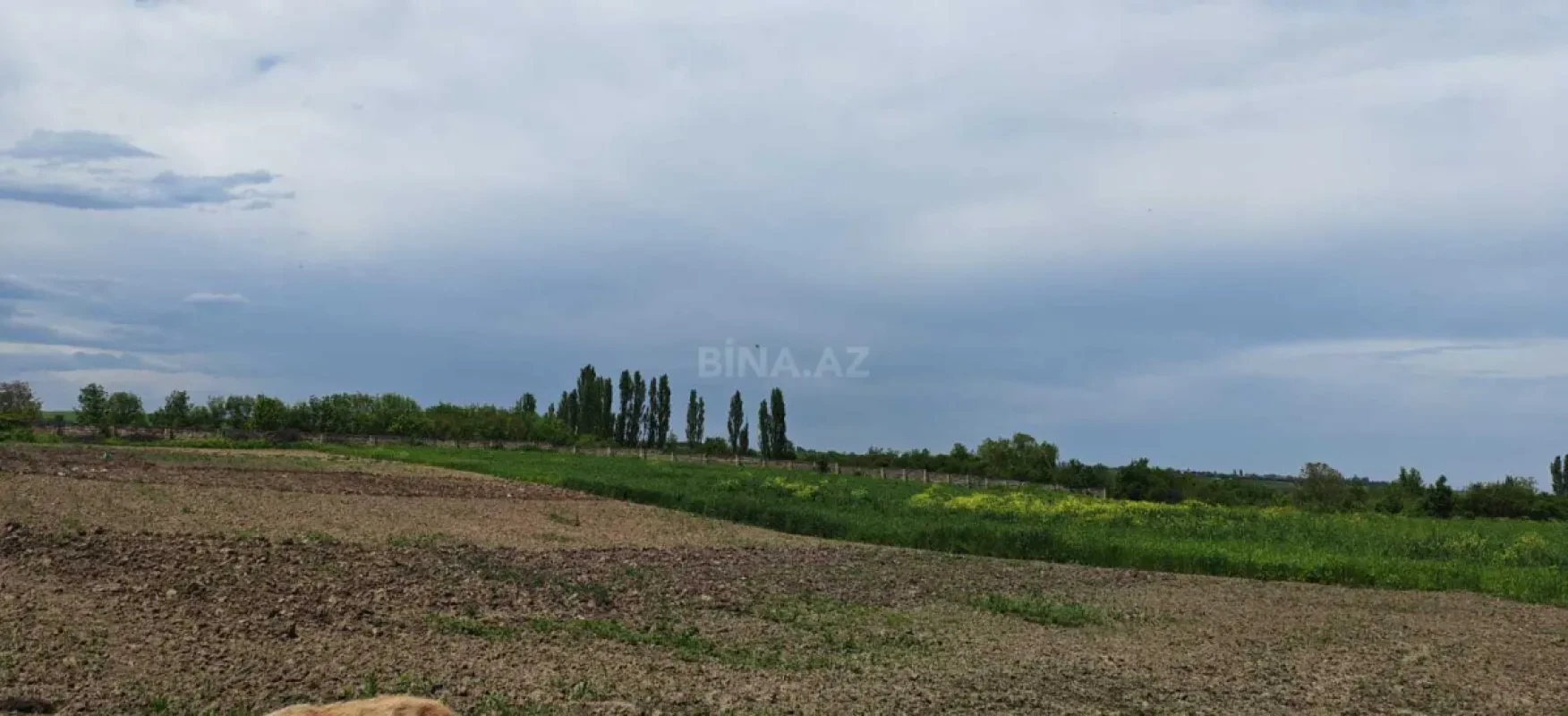 Satılır torpaq sahəsi 46 m²