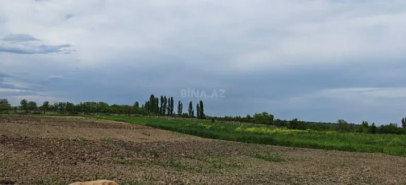 Satılır torpaq sahəsi 46 m² — Quba 46.00 m²