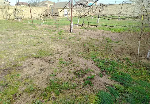 Satılır torpaq sahəsi 8 m² — Bakı, Buzovna 8.00 m²
