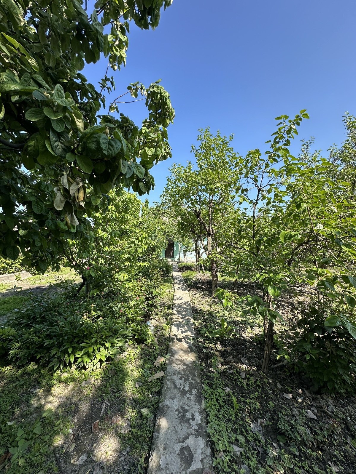 Satılır torpaq sahəsi 18 m²