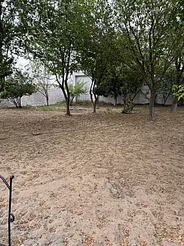 Satılır torpaq sahəsi 6 m² — Bakı, Bilgəh 6.00 m²
