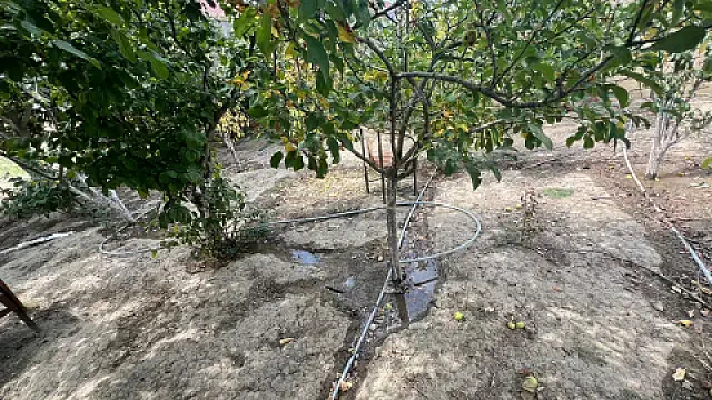 Satılır torpaq sahəsi 6 m² — Bakı 6.00 m²