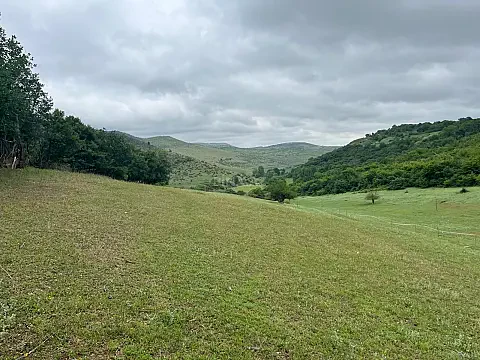 Satılır torpaq sahəsi 12 m² — Şabran 12.00 m²