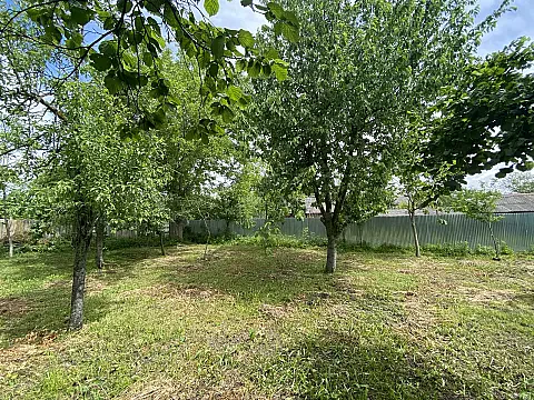Satılır torpaq sahəsi 10 m² — Qəbələ 10.00 m²