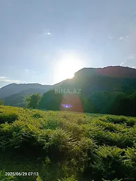 Satılır torpaq sahəsi 20 m² — İsmayıllı 20.00 m²