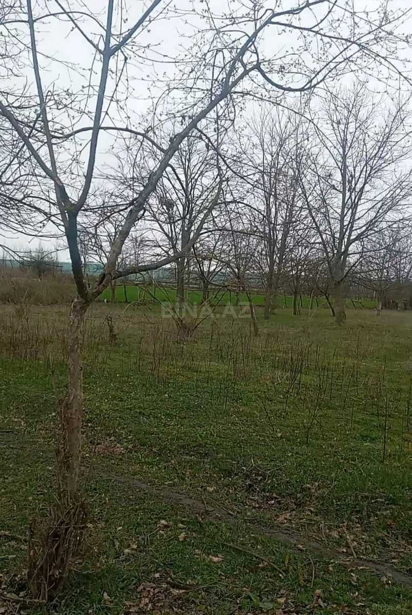 Satılır torpaq sahəsi 30 m²