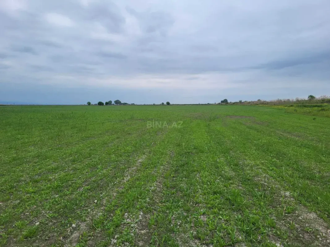 Satılır torpaq sahəsi 13000 m²