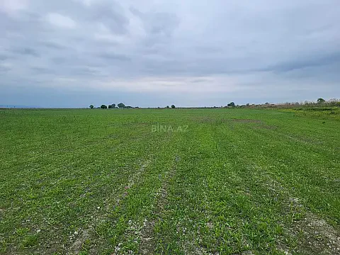Satılır torpaq sahəsi 13000 m² — Ağsu 13000.00 m²