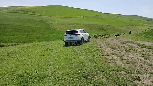 Satılır torpaq sahəsi 150 m² — İsmayıllı 150.00 m²