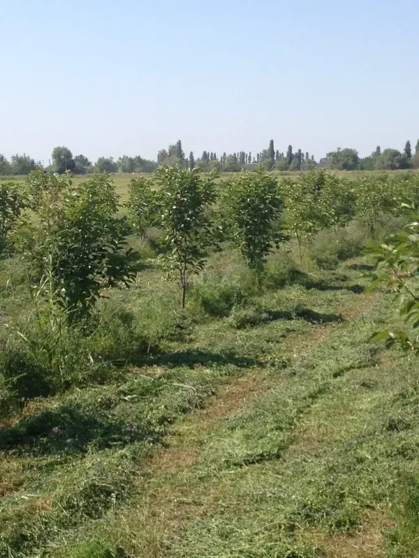 Satılır torpaq sahəsi 149 m²