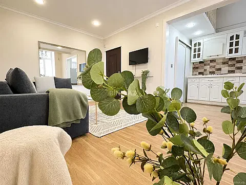Kirayə verilir 2 otaqlı mənzil 55 m² — Bakı 2 otaq 55.00 m²