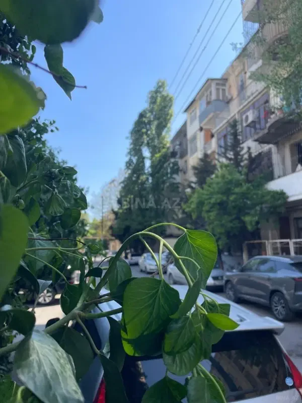 Satılır 3 otaqlı mənzil 80 m²