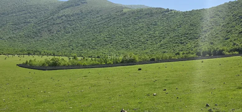 Satılır torpaq sahəsi 72 m² — Şəki 72.00 m²