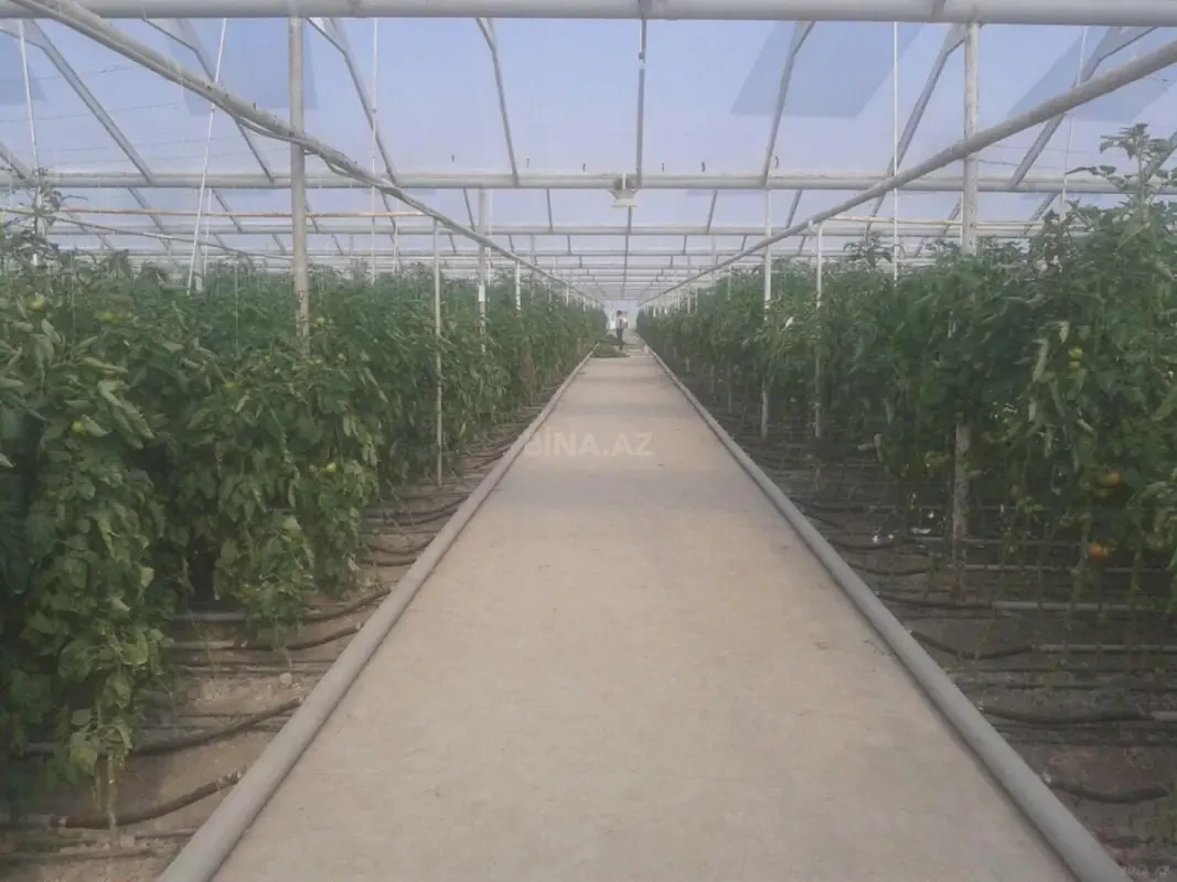 Satılır obyekt 500000 m²
