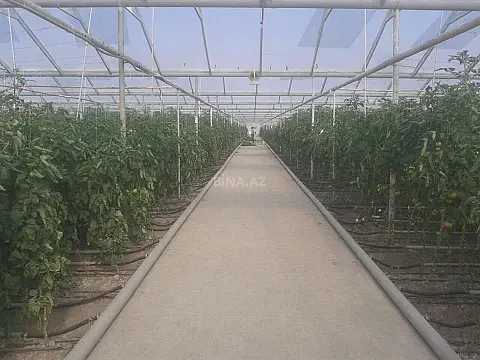 Satılır obyekt 500000 m² — Salyan 500000.00 m²
