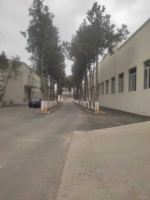 Kirayə verilir obyekt 5000 m²