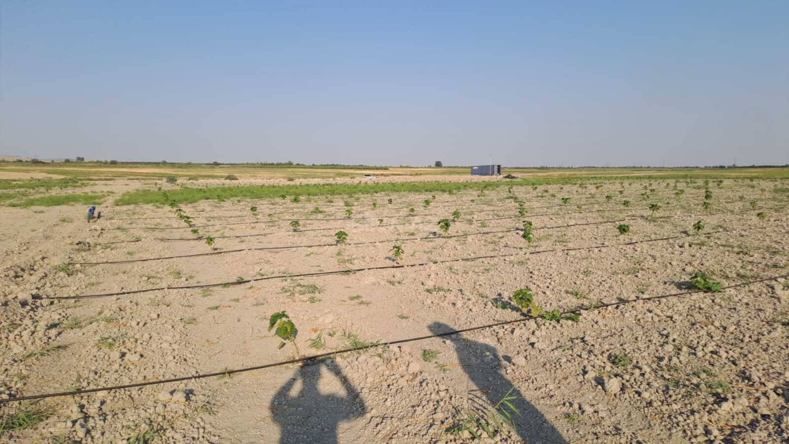 Satılır torpaq sahəsi 7.5 m²