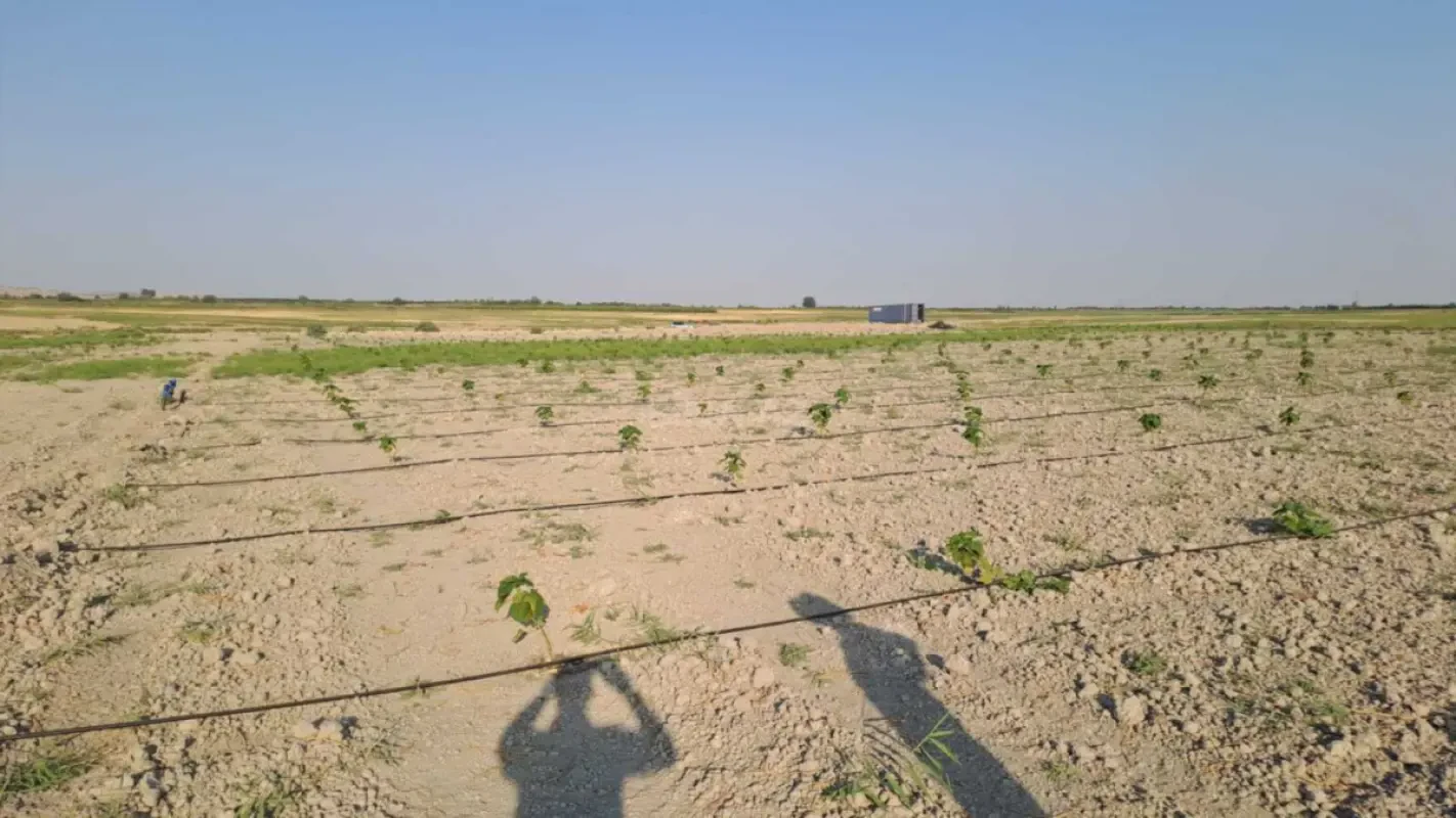 Satılır torpaq sahəsi 7.5 m²
