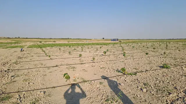 Satılır torpaq sahəsi 7.5 m² — Ağdaş 7.50 m²