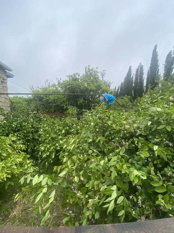 Satılır 5 otaqlı həyət evi 140 m²
