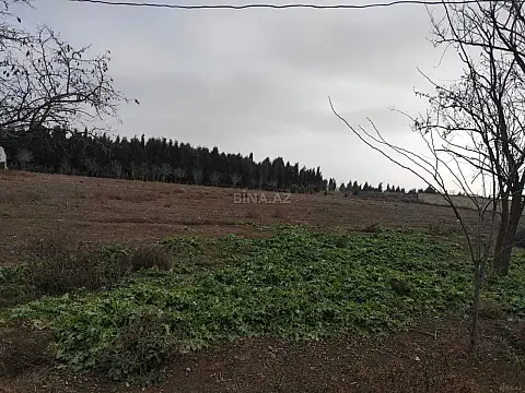 Satılır torpaq sahəsi 34 m² — Samux 34.00 m²