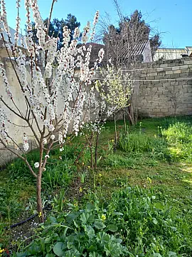 Satılır 2 otaqlı həyət evi 80 m² — Bakı 2 otaq 80.00 m²