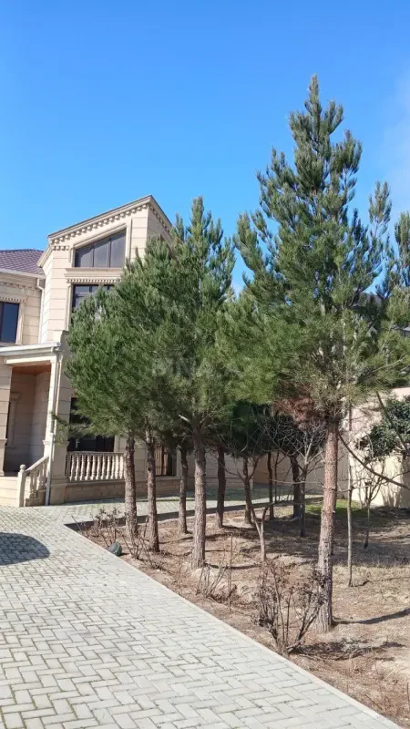 Satılır 8 otaqlı həyət evi 350 m²