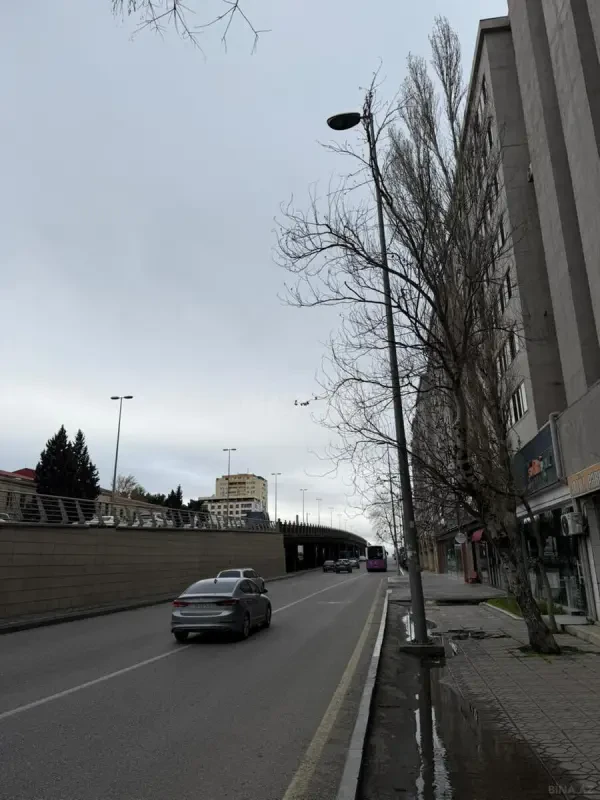 Kirayə verilir obyekt 190 m²