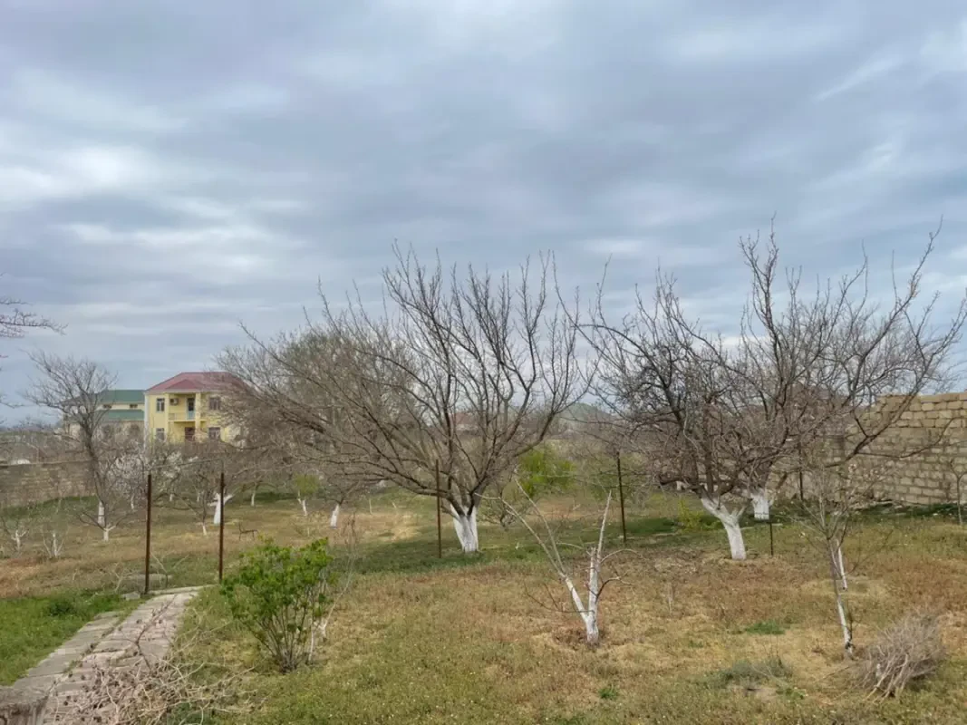 Satılır torpaq sahəsi 85 m²