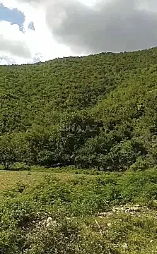Satılır torpaq sahəsi 28 m² — Oğuz 28.00 m²
