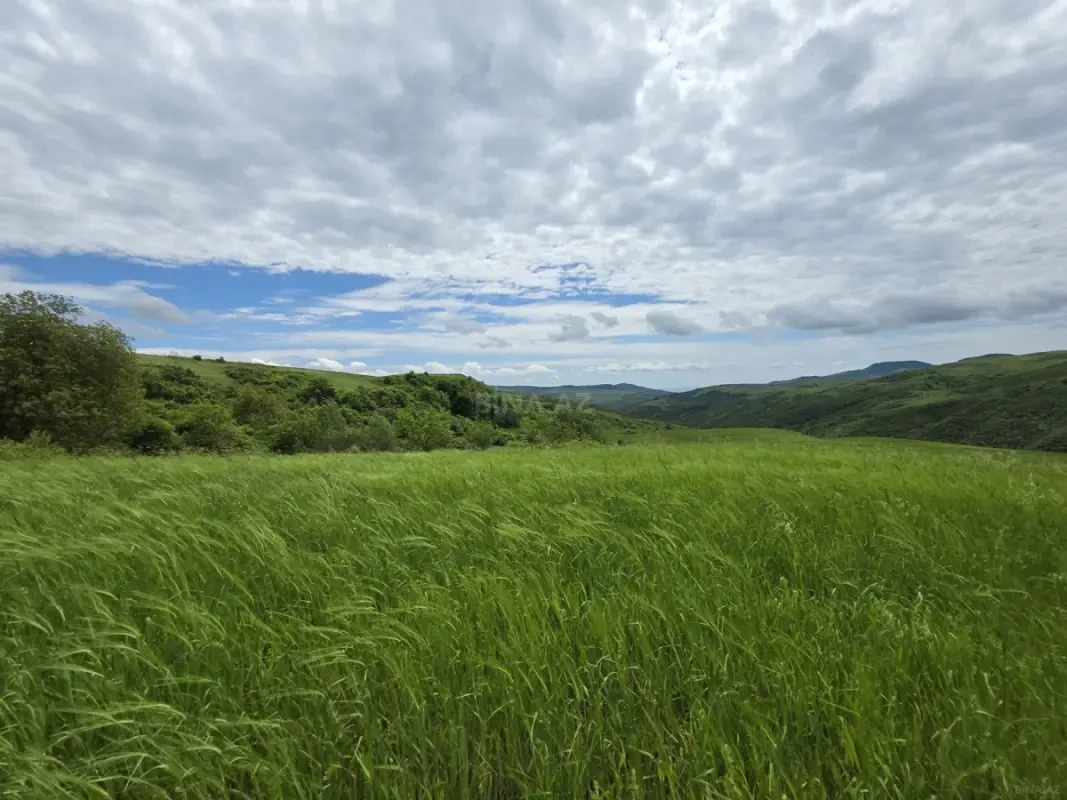 Satılır torpaq sahəsi 1000 m²