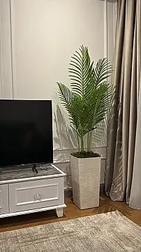 Kirayə verilir 2 otaqlı mənzil 70 m² — Bakı 2 otaq 70.00 m²