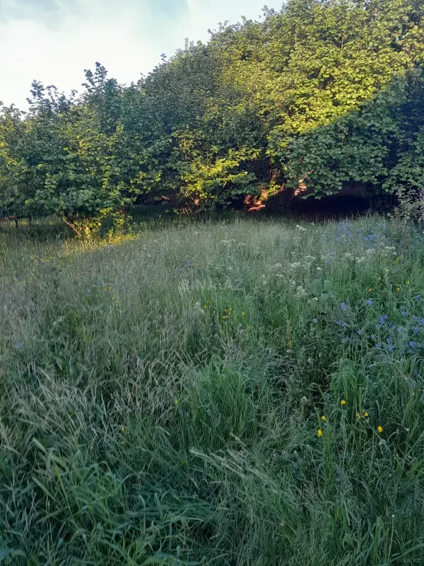 Satılır torpaq sahəsi 17 m²