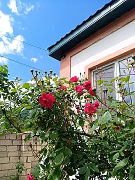 Kirayə verilir 2 otaqlı həyət evi 75 m² — Lerik 2 otaq 75.00 m²