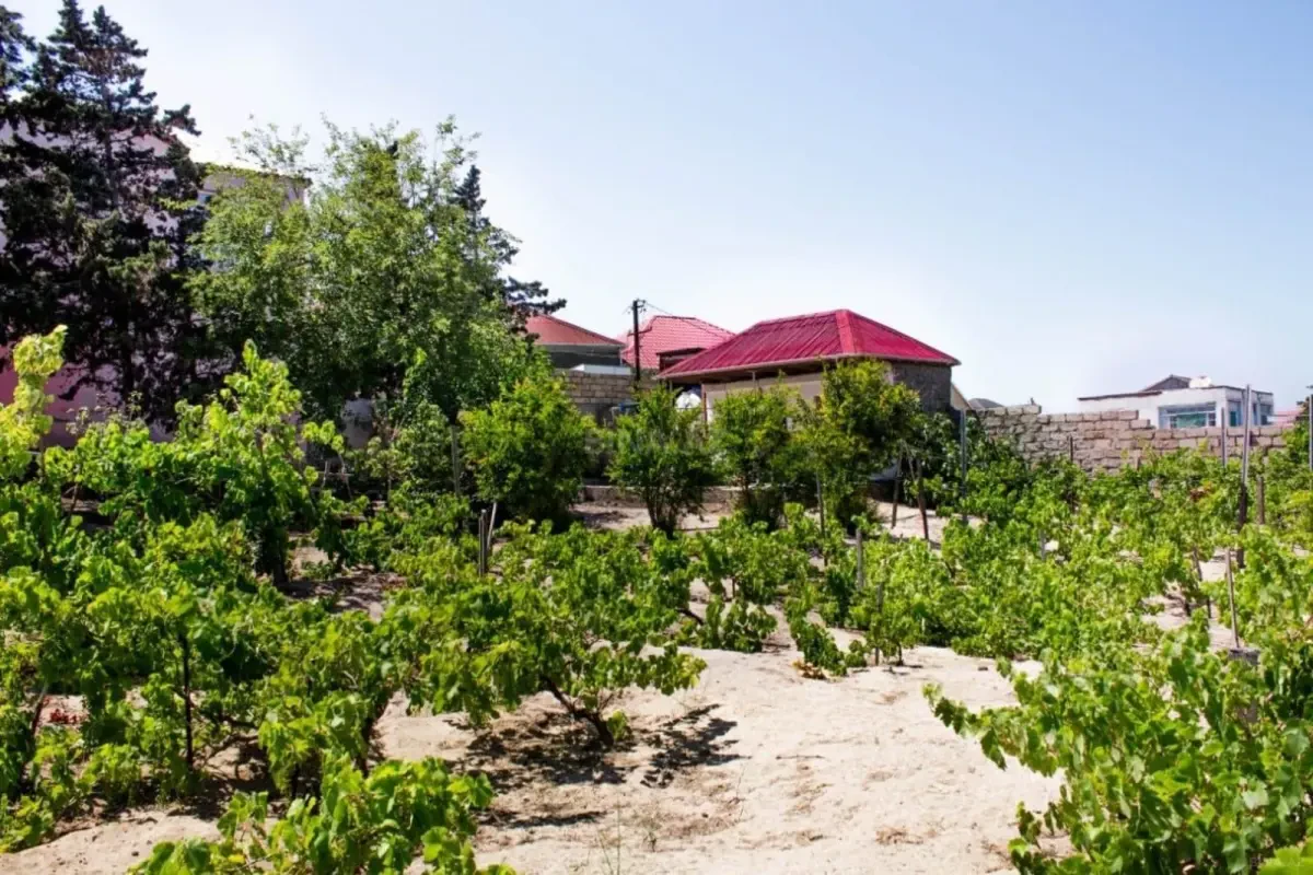 Kirayə verilir 6 otaqlı həyət evi 210 m²