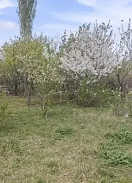 Satılır torpaq sahəsi 8 m² — Goranboy 8.00 m²