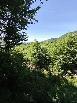 Satılır torpaq sahəsi 35 m² — İsmayıllı 35.00 m²