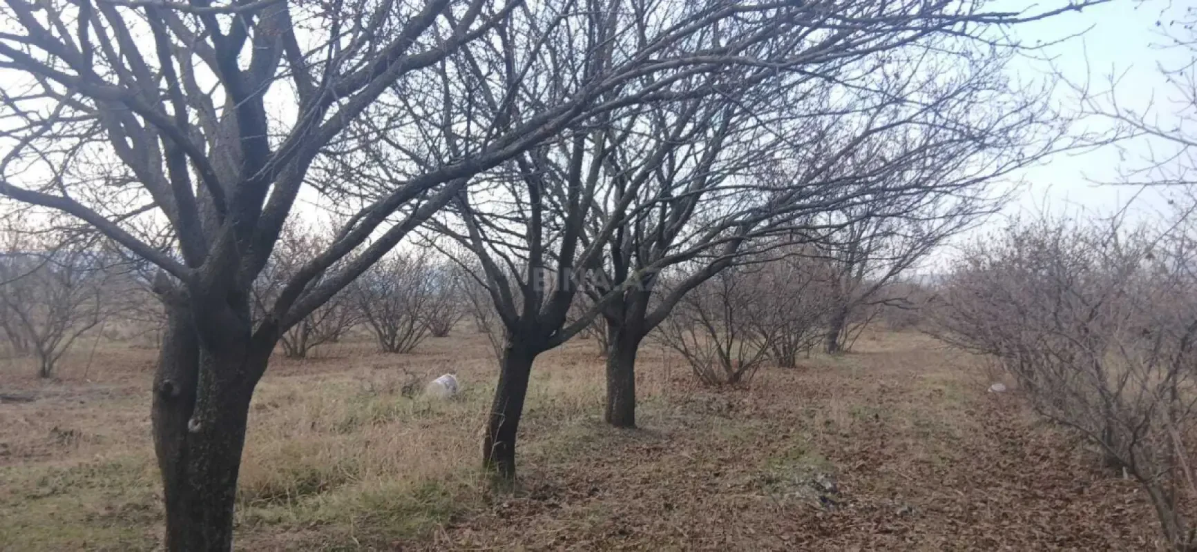 Satılır torpaq sahəsi 70 m²
