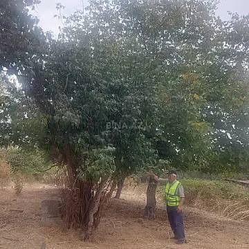 Satılır torpaq sahəsi 16 m² — Şamaxı 16.00 m²