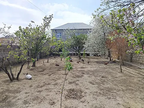 Satılır 6 otaqlı həyət evi 240 m² — Bakı, Ramana 6 otaq 240.00 m²