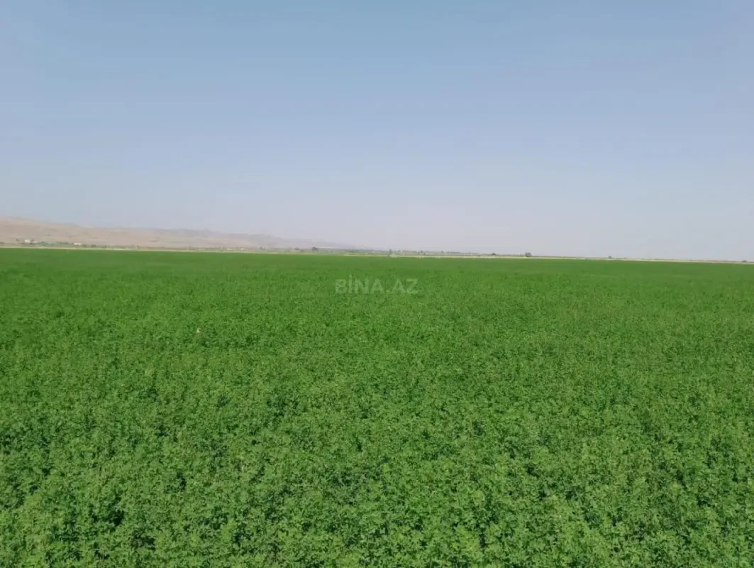 Satılır torpaq sahəsi 7000 m²