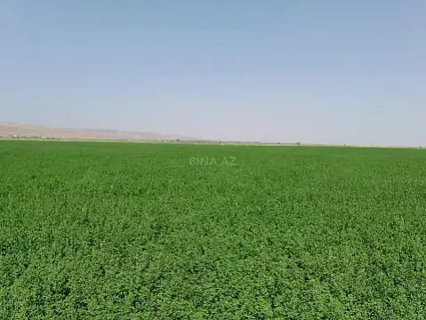 Satılır torpaq sahəsi 7000 m² — Ağsu 7000.00 m²
