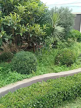 Satılır 7 otaqlı həyət evi 400 m² — Bakı, Mərdəkan 7 otaq 400.00 m²
