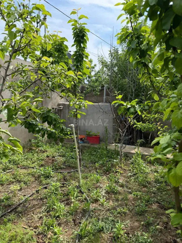 Satılır 3 otaqlı həyət evi 110 m²