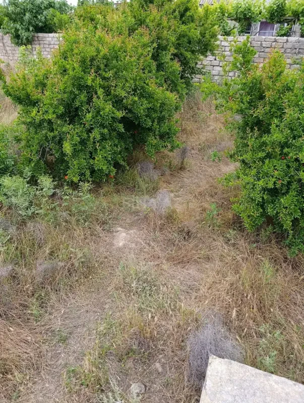 Satılır torpaq sahəsi 5 m²