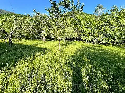 Satılır torpaq sahəsi 20 m² — Qəbələ 20.00 m²