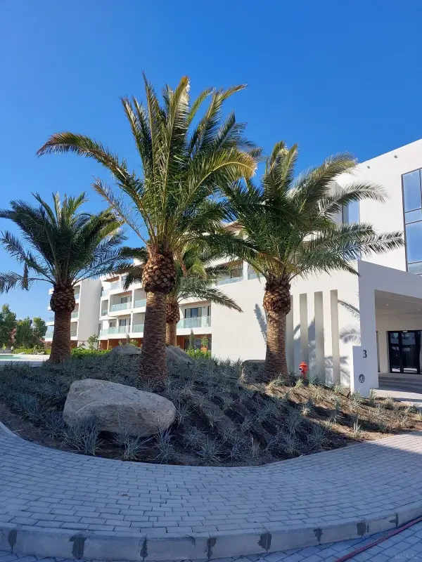 Kirayə verilir 2 otaqlı mənzil 97 m²