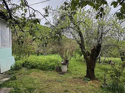 Satılır torpaq sahəsi 52 m² — Şəki 52.00 m²